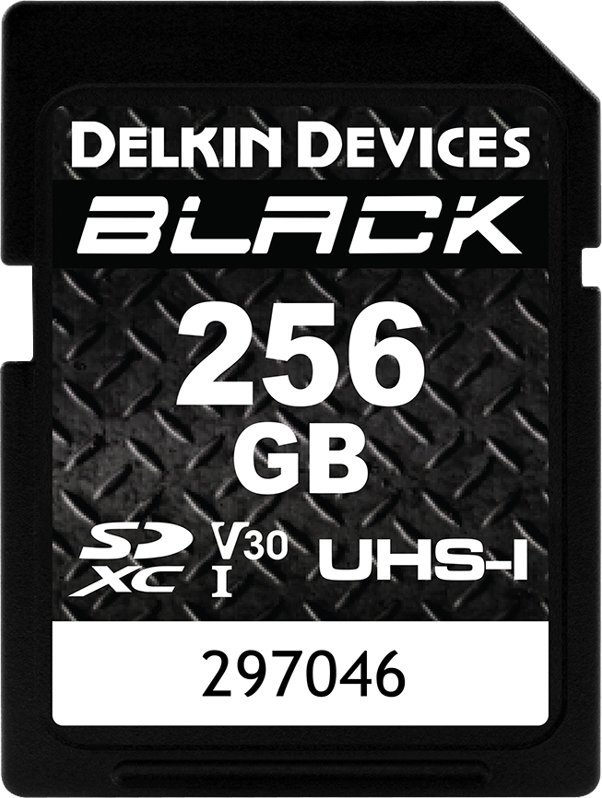 Karta Delkin Black Rugged SDXC 256 GB Class 10 UHS-I V30 (DDSDBLK256GB)
