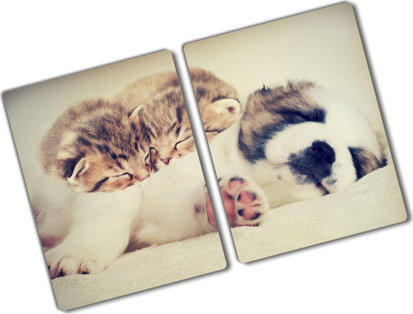 Deska do krojenia Tulup szklana 52x2szt.