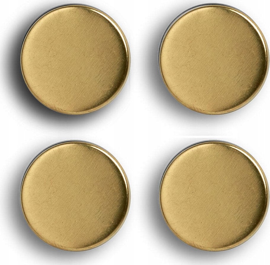 Zeller Komplet magnesów, 4 sztuki, Ø 2,3 cm