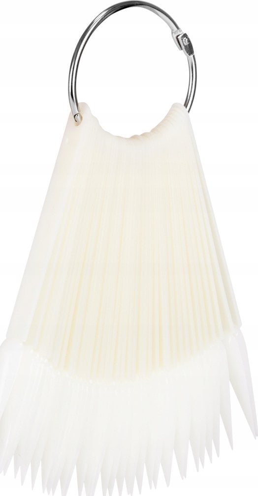 Activeshop Wzornik do lakierów na kole 50 szt. WZ1