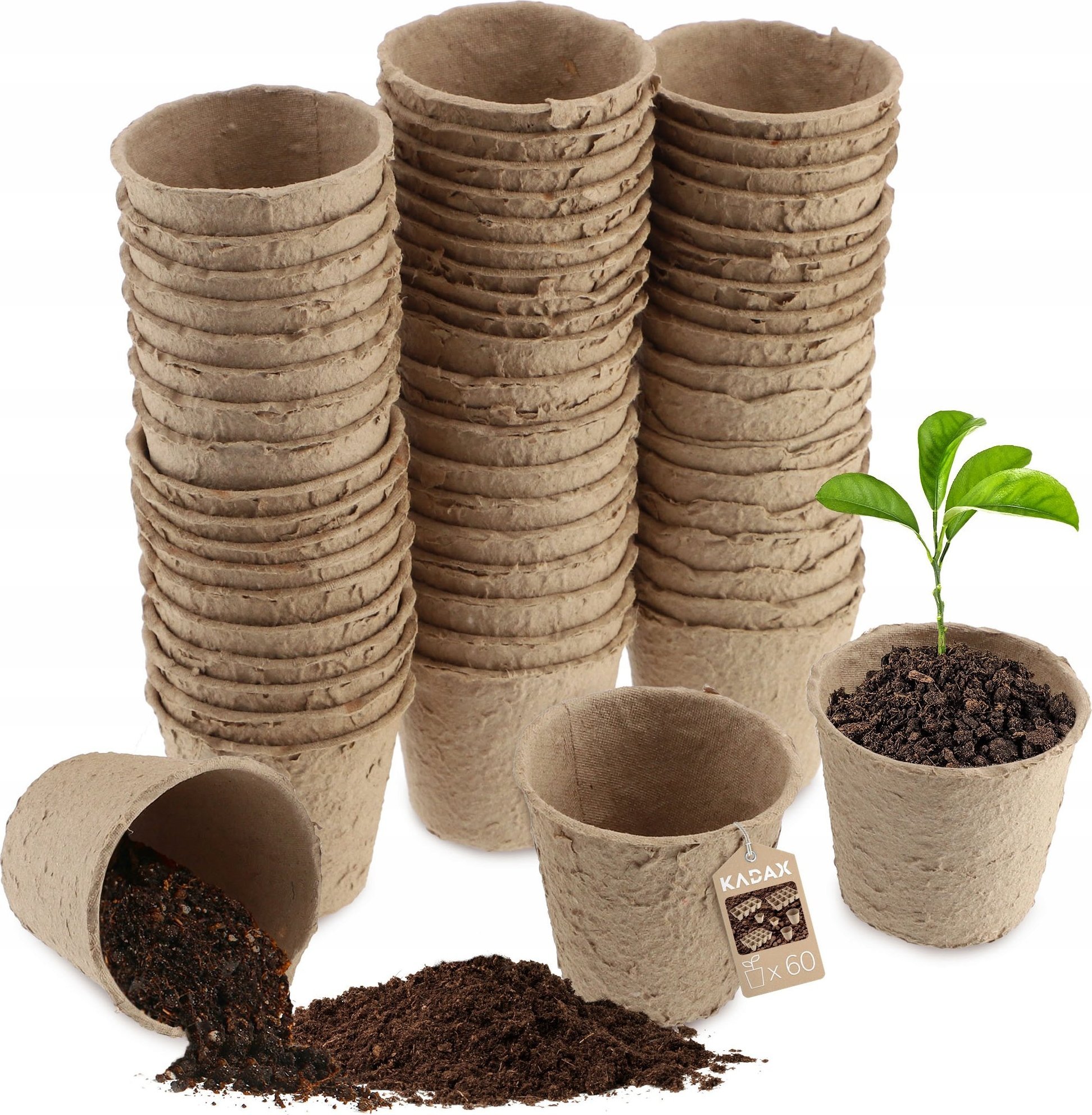 Kadax Doniczki Torfowe Na Rozsady Sadzonki 6cm 60szt.