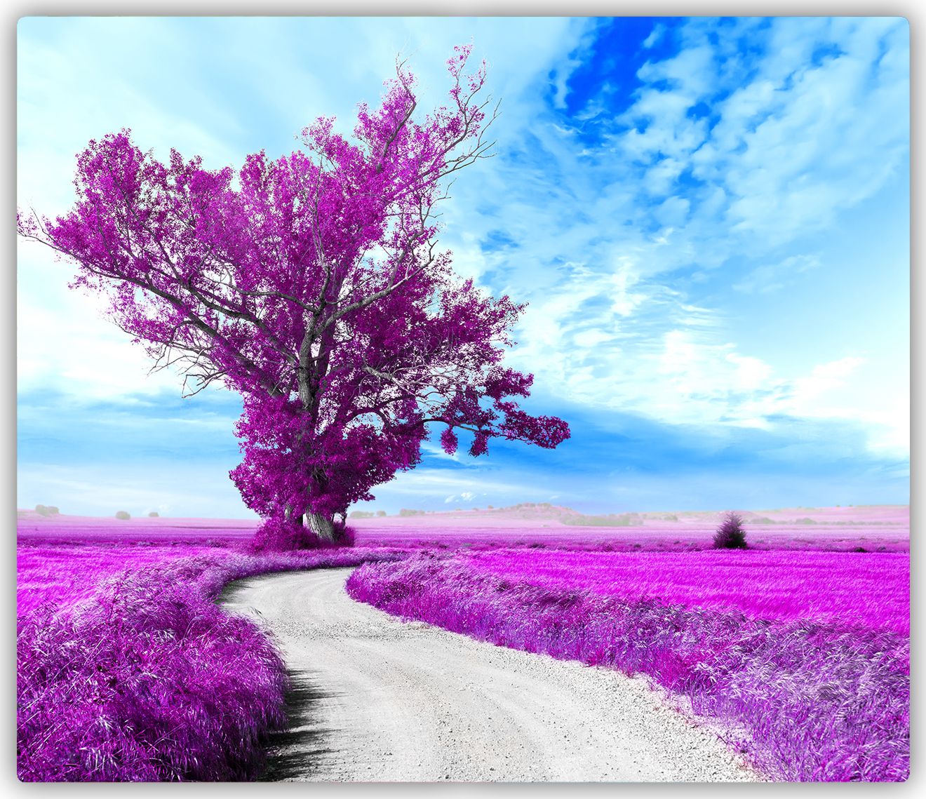 Deska do krojenia Tulup szklana Drzewo i ścieżka 3 60x52cm