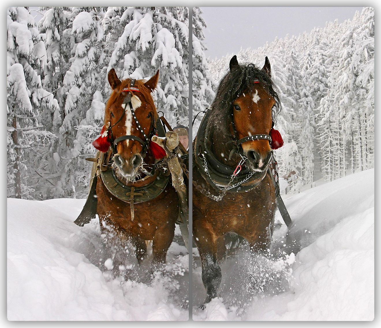 Deska do krojenia Tulup szklana Kulig 1 52x30cm 2szt.