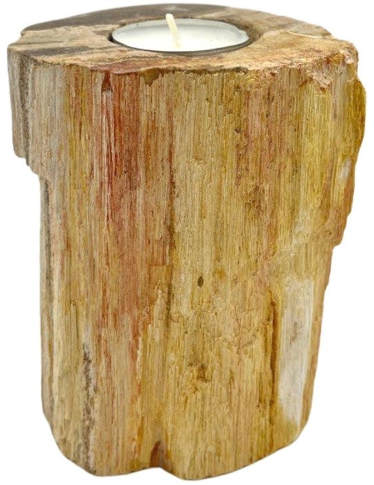 Świecznik ze skamieniałego drewna - Wysoki