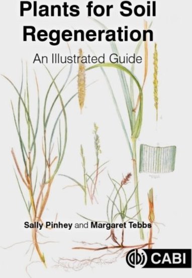 Plants for Soil Regeneration: An Illustrated Guide