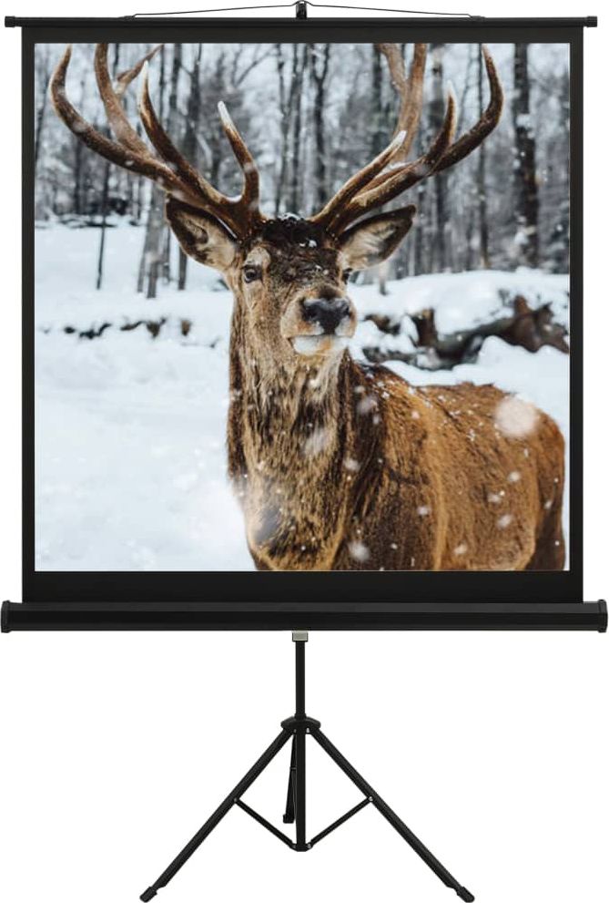 Ekran do projektora vidaXL 51344