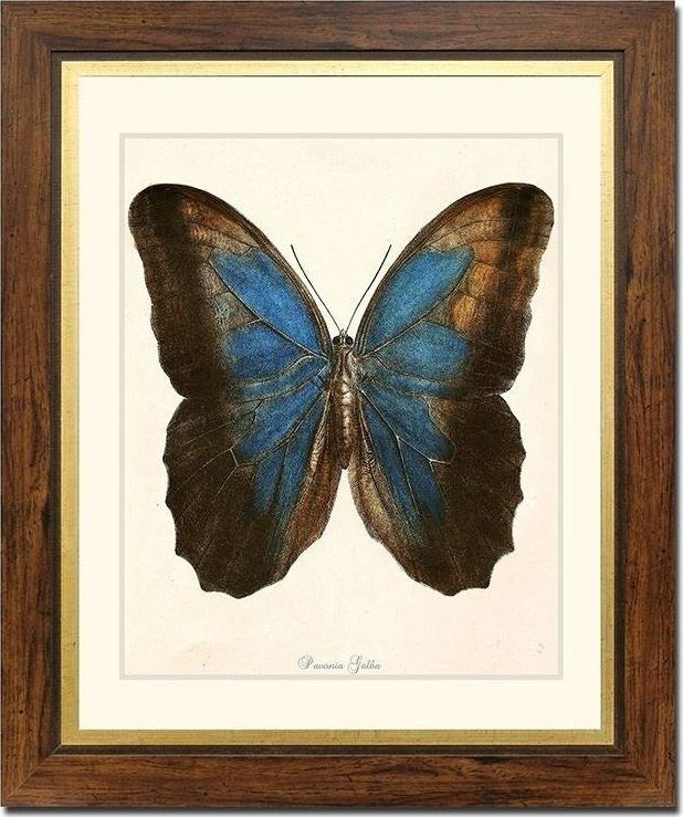 GO-BI Obraz - REPRODUKCJE NOWOŚCI 52x62cm