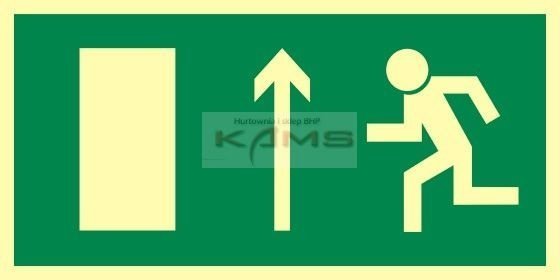 TD Systems AC013 Kierunek do wyjścia drogi ewakuacyjnej w górę (znak uzupełniajęcy). 100 x 200