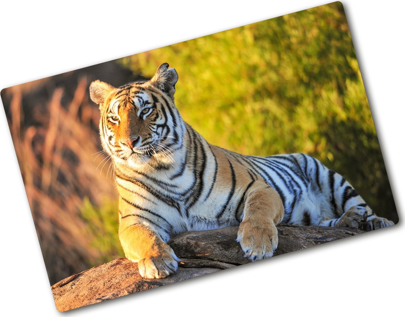 Deska do krojenia Tulup szklana 80x52cm