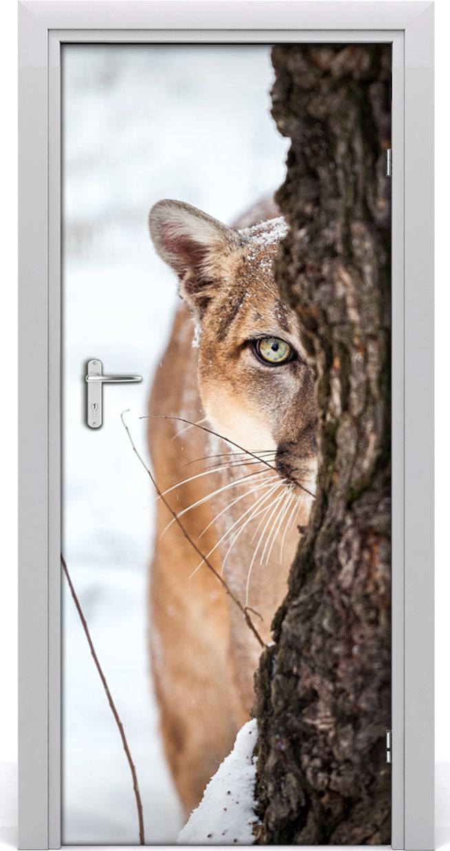 Tulup Fototapeta samoprzylepna na drzwi 85 x 205 cm Jaguar