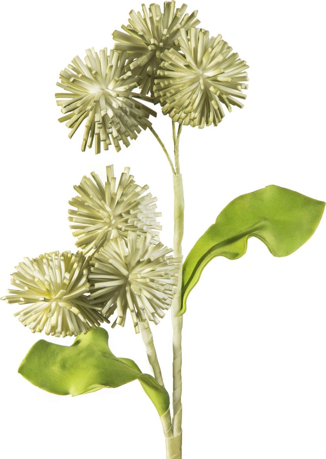 Shumee Eurofirany Kwiat dekoracyjny z kolekcji flore (eurofirany_359626) - eurofirany_359626