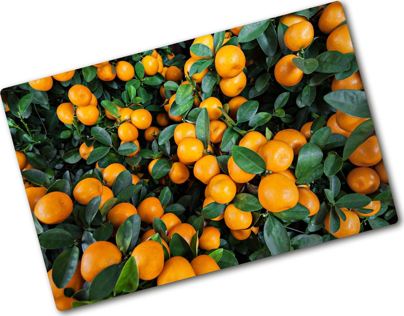 Deska do krojenia Tulup szklana 80x52cm