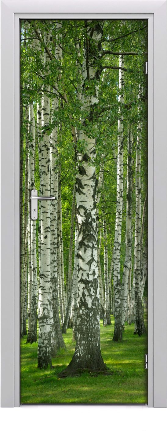 Tulup Fototapeta samoprzylepna na drzwi 75 x 205 cm brzozowy las
