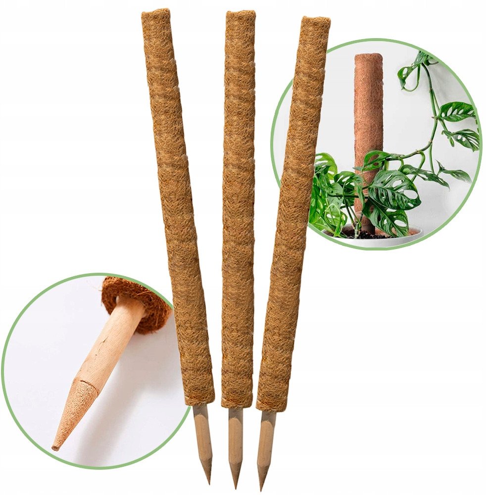 Palik kokosowy 90 cm podpora do roślin tyczka 3 szt ZESTAW