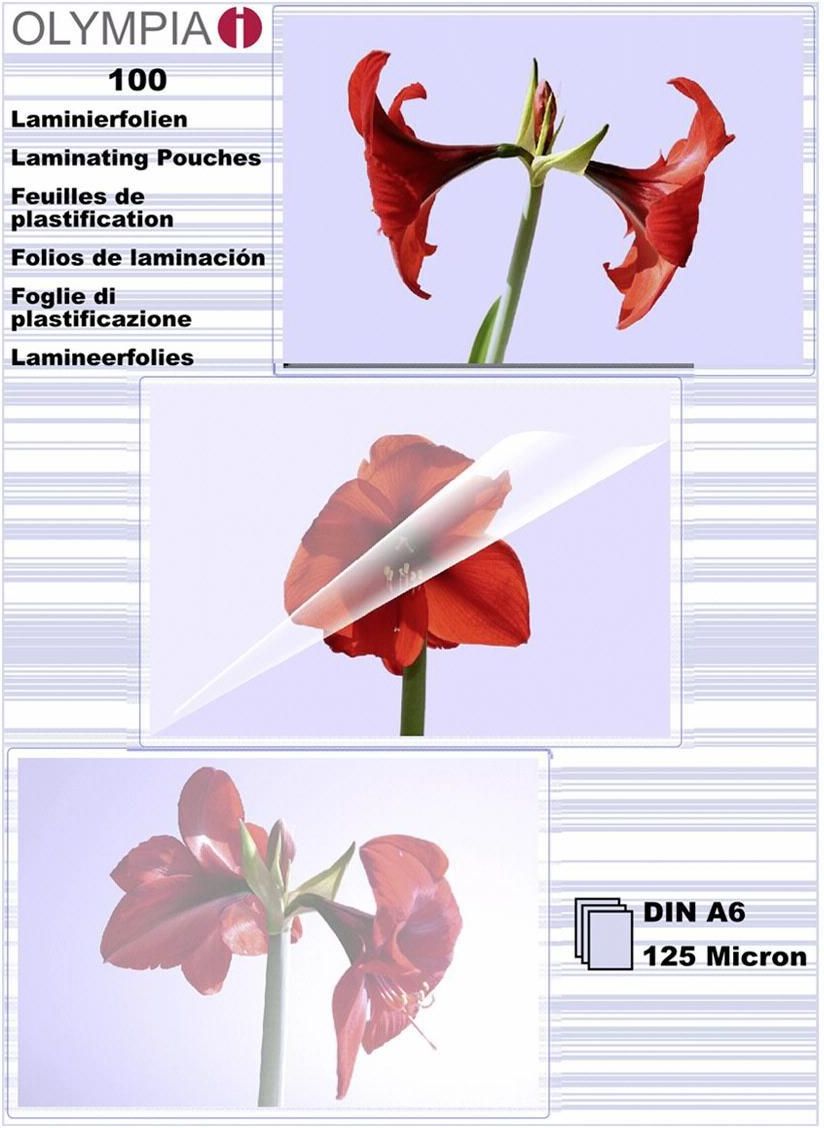 Olympia folia do laminacji A6 125 micronów (9178)