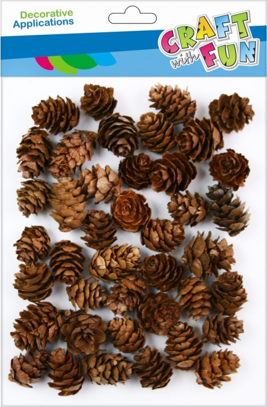 Craft with Fun CF OZDOBA DEK NATURA SZYSZKA 2-3CM 30G 12/144