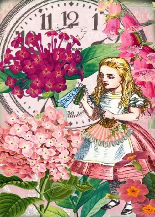 Madame Treacle Karnet B6 z kopertą Alicja w krainie czarów