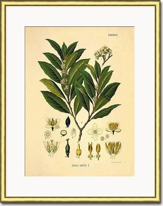 GO-BI Obraz - REPRODUKCJE NOWOŚCI 21x26cm