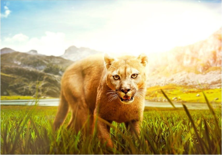 DecoNest Fototapeta - Watch out! - 300X210