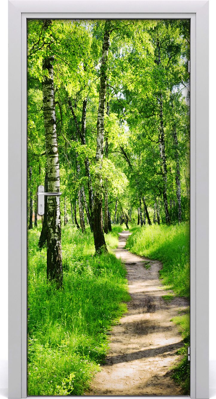 Tulup Fototapeta samoprzylepna na drzwi 95 x 205 cm brzozowy las