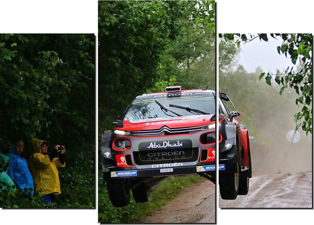 Top Racing Fotoobraz Andreas Mikkelsen - Anders Jaeger - Citroen C3 WRC 180 x 100 cm