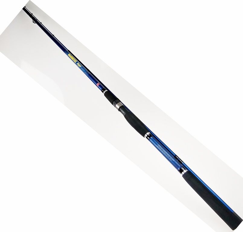 Robinson Wędka Robinson Magnetic Jigger 2,10m 5-25g