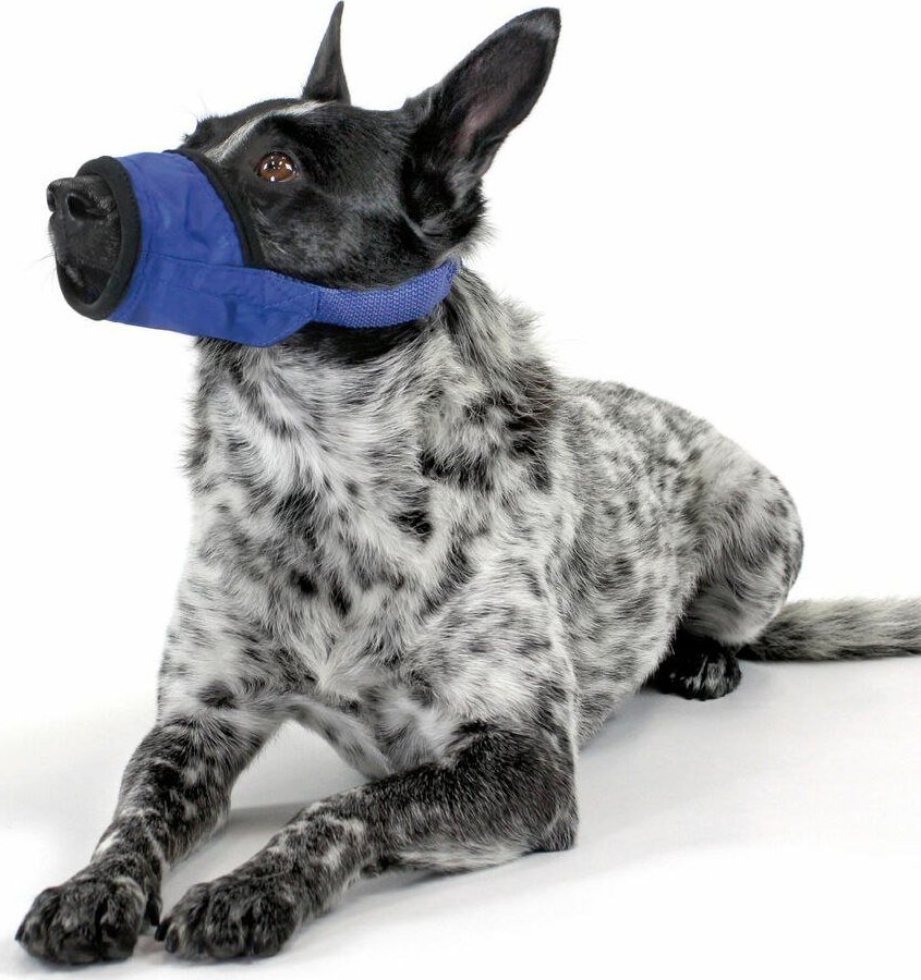 KVP Kaganiec KVP Soft Rozmiar L (19 cm)