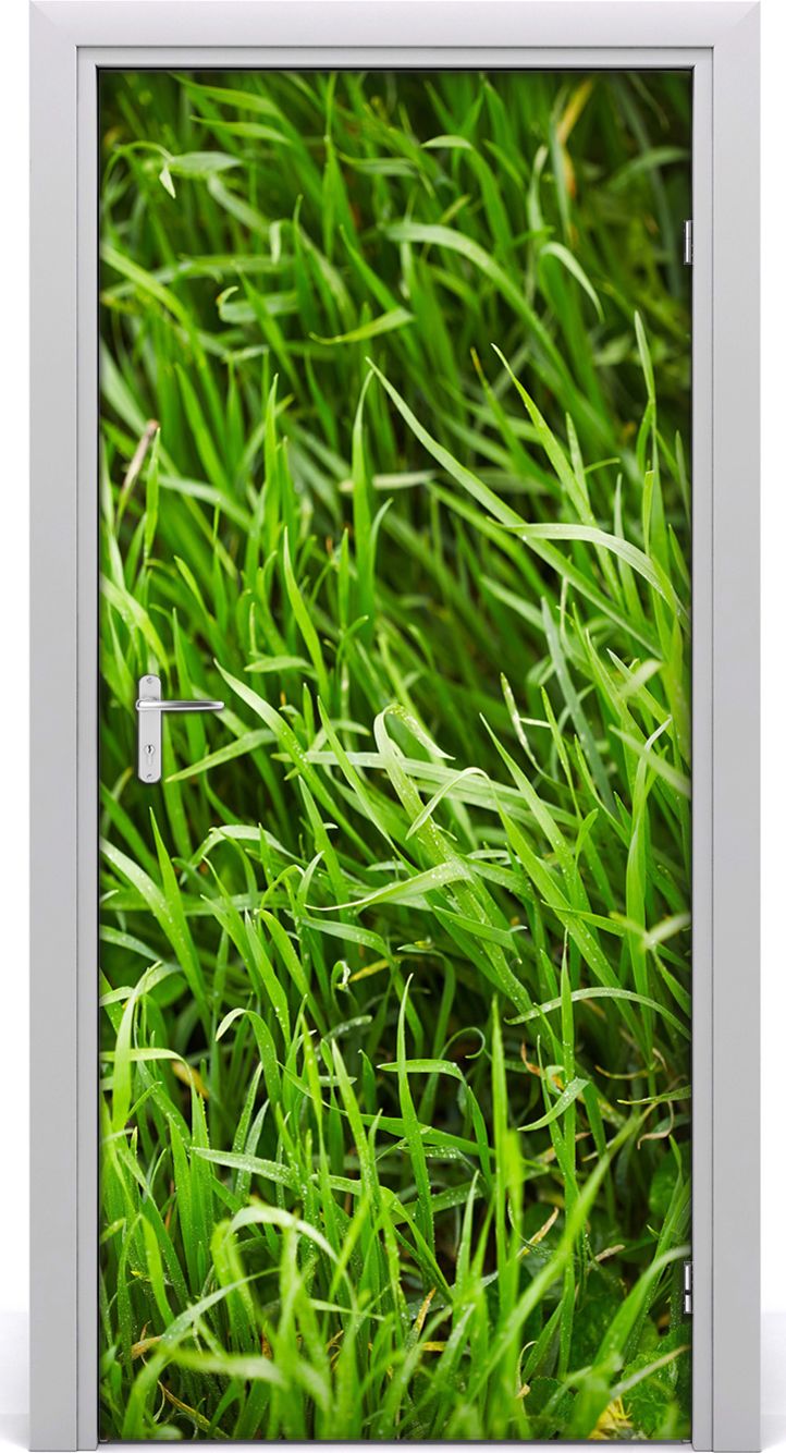 Tulup Fototapeta samoprzylepna na drzwi 95 x 205 cm trawa