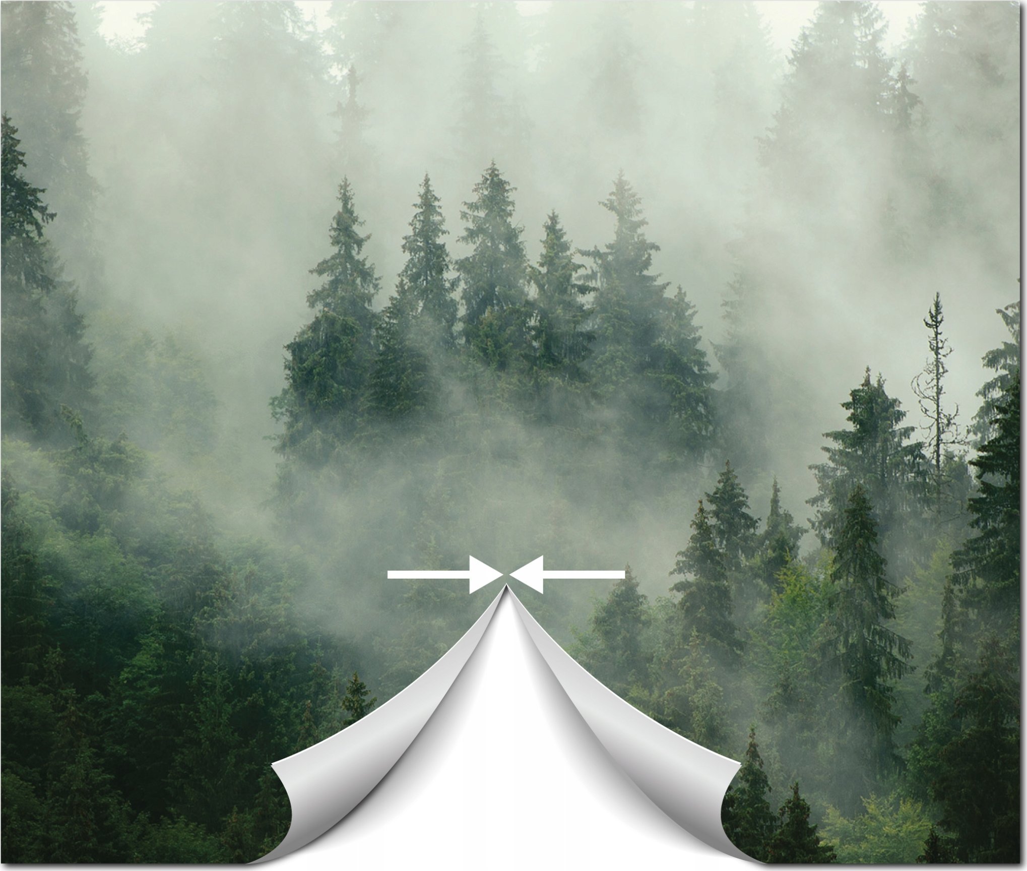 FOTOTAPETA WODOSPAD 3D LAS NATURA KRAJOBRAZ SALON TAPETA NA ŚCIANĘ 350x250