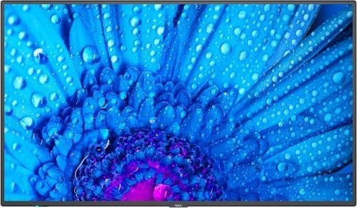 Monitor NEC MultiSync M861