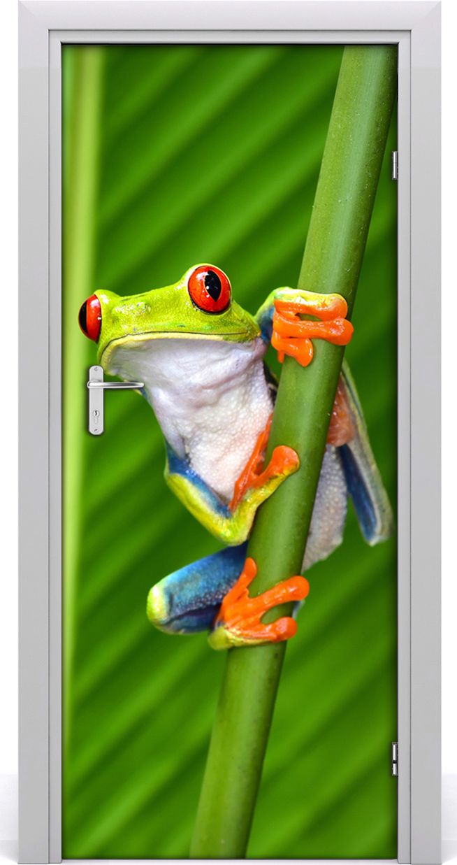 Tulup Fototapeta samoprzylepna na drzwi 85 x 205 cm Żaba nadrzewna