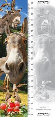 Worth-Keeping ZakĹ‚adka 3D OsioĹ‚