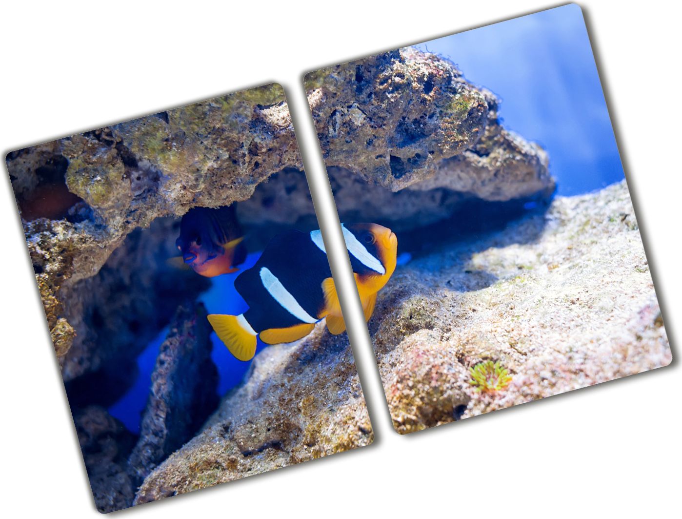 Deska do krojenia Tulup szklana Tropikalna ryba 2 52x2szt.