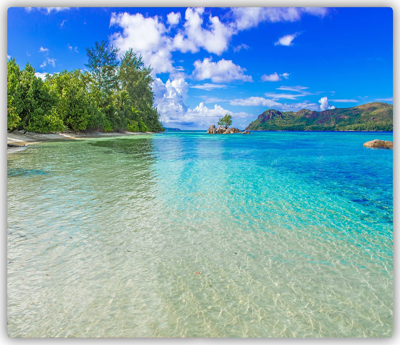 Deska do krojenia Tulup szklana Plaża Seszele 6 60x52cm