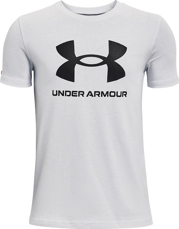 Under Armour Szary/Srebrny XL