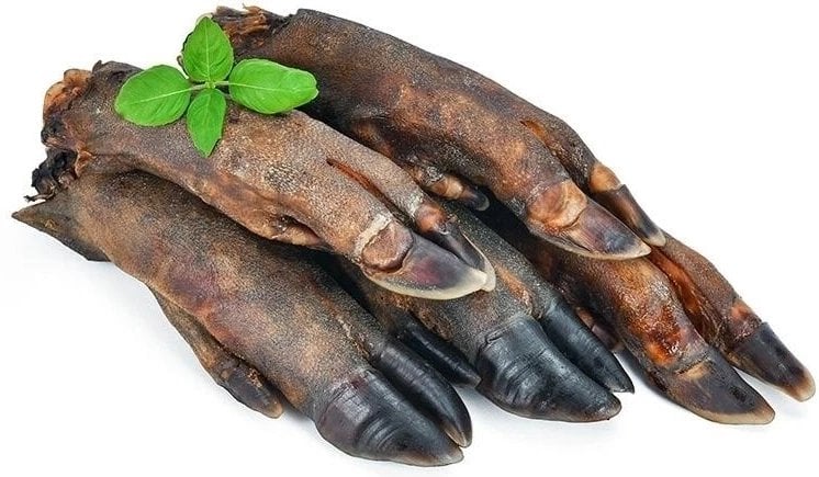 ARAMI C RACICA DZIKA 5szt.