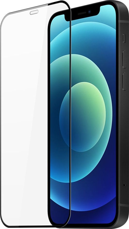 Dux Ducis Szkło Hartowane 10D 9H Dux Ducis iPhone 12 mini