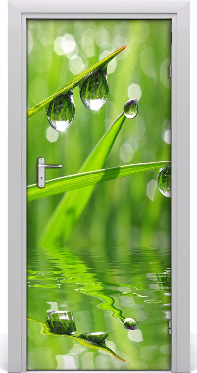 Tulup Fototapeta samoprzylepna na drzwi 85 x 205 cm Źdźbła trawy