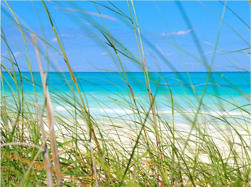 DecoNest Fototapeta - Tropical journey - 400X309