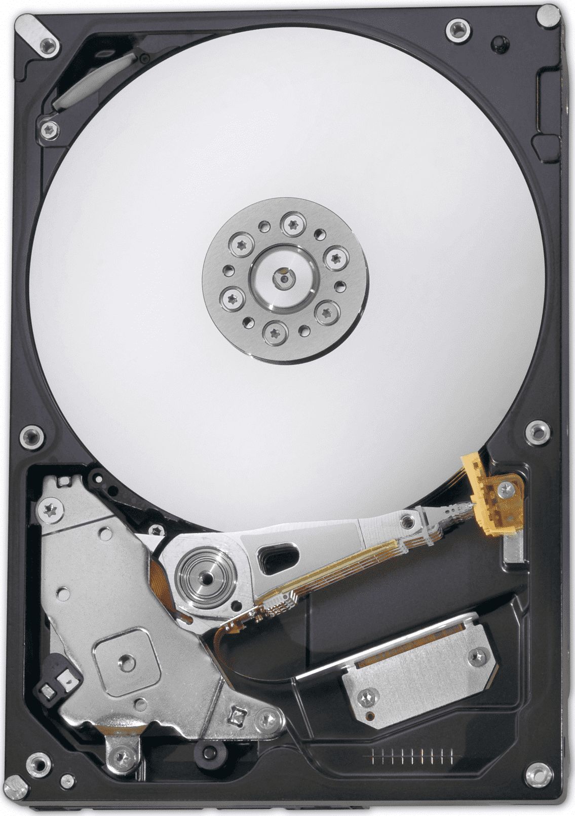 Dysk Fujitsu 2TB 3.5" SATA III (S26462-F3500-L200)