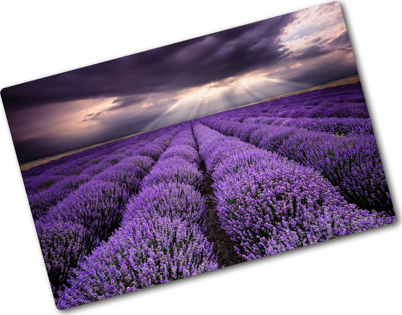 Deska do krojenia Tulup szklana Pole lawendy 16 80x52cm