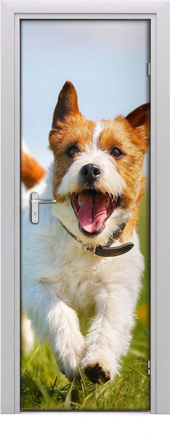 Tulup Fototapeta samoprzylepna na drzwi 75 x 205 cm Pies