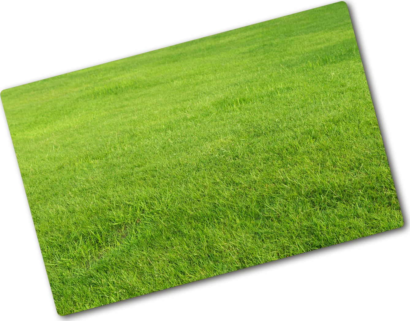 Deska do krojenia Tulup szklana Zielona trawa 4 80x52cm