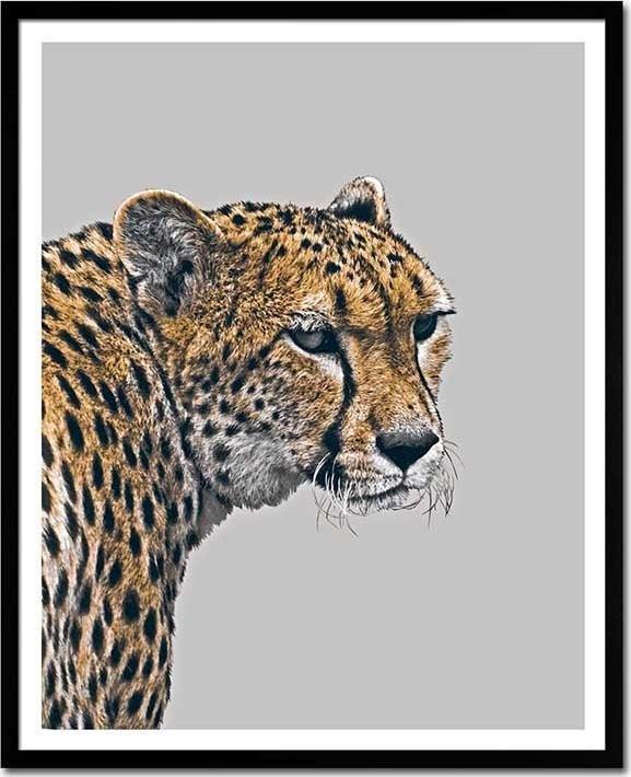 ART-POL Obraz na płótnie pantera