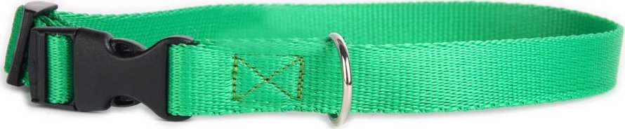 DogStuffs DogStuffs Obroża z plastikową klamrą 20mm/30-55cm zielona