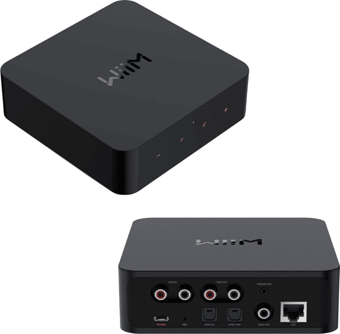 Arylic ARYLIC WiiM Pro odtwarzacz sieciowy