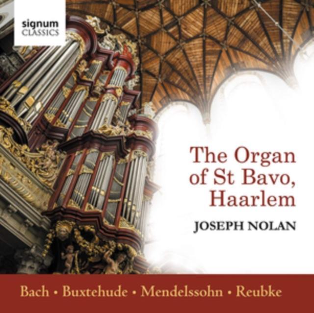 Joseph Nolan: The Organ of St Bavo, Haarlem