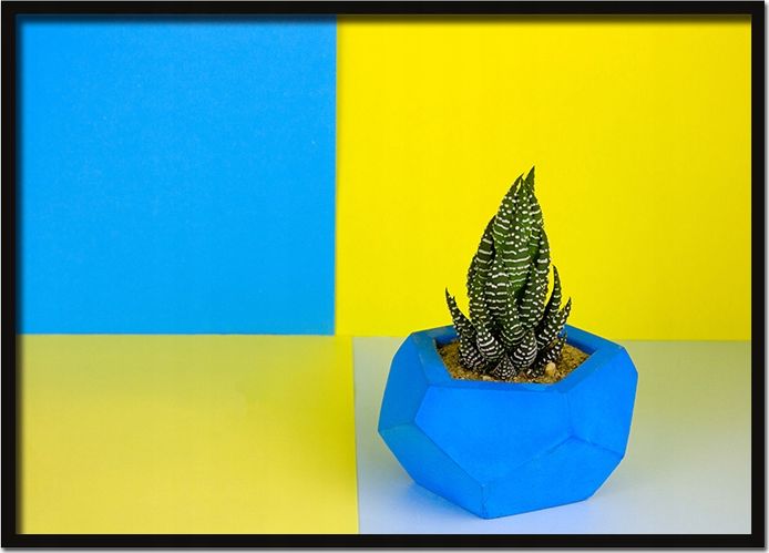 E-druk OBRAZ PLAKAT W RAMIE 43x33 cm Roślina 1 P614