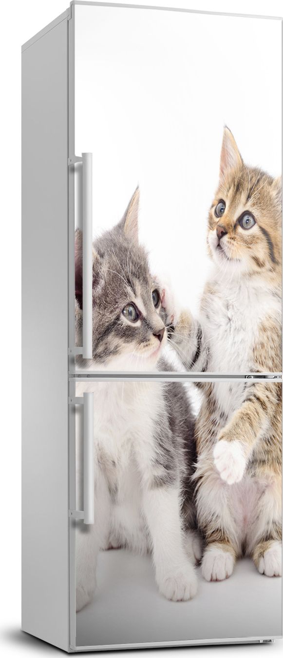 Tulup Naklejka samoprzylepna na lodówkę 60x180 cm Dwa małe koty