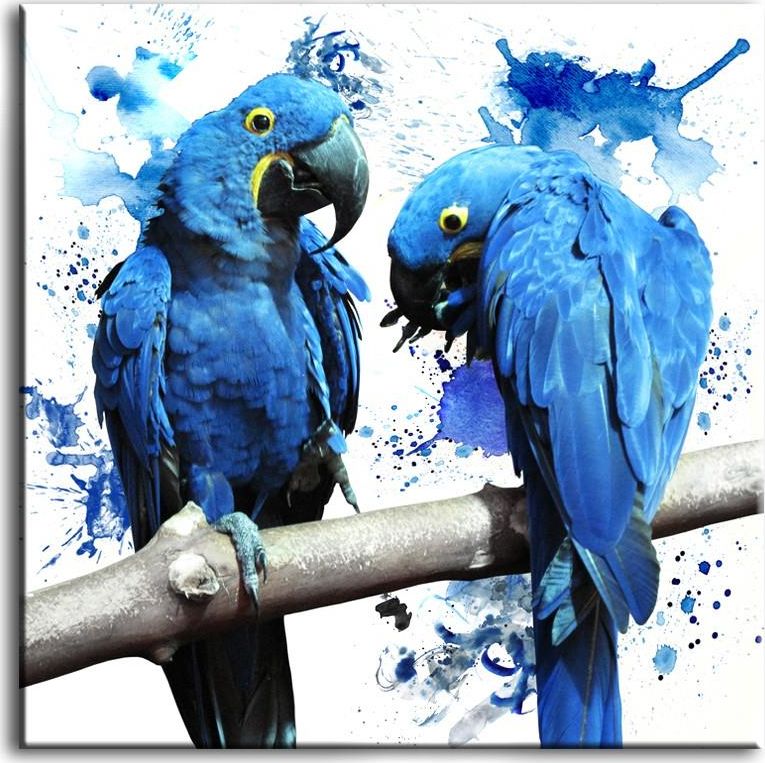 GO-BI Obraz "Wild Nature" reprodukcja 100x100cm